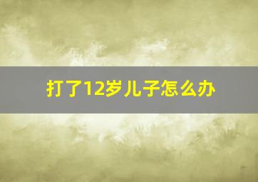 打了12岁儿子怎么办