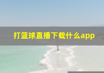 打篮球直播下载什么app