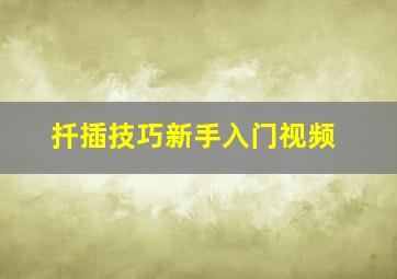 扦插技巧新手入门视频