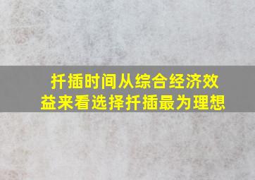 扦插时间从综合经济效益来看选择扦插最为理想