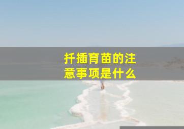 扦插育苗的注意事项是什么