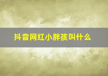 抖音网红小胖孩叫什么