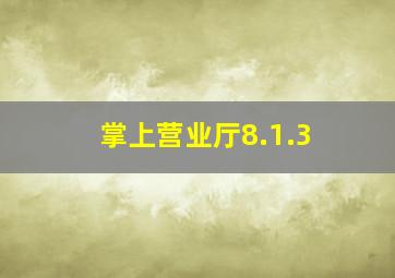 掌上营业厅8.1.3