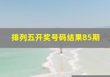 排列五开奖号码结果85期