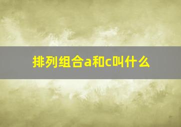 排列组合a和c叫什么