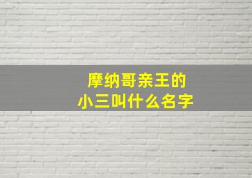 摩纳哥亲王的小三叫什么名字