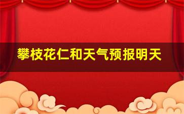 攀枝花仁和天气预报明天