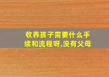 收养孩子需要什么手续和流程呀,没有父母