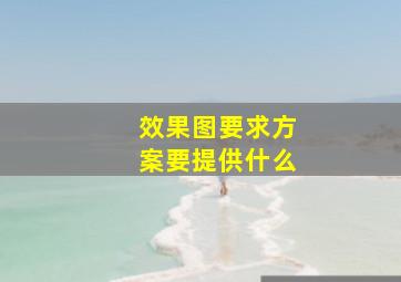 效果图要求方案要提供什么