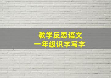 教学反思语文一年级识字写字