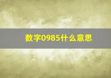 数字0985什么意思