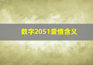 数字2051爱情含义