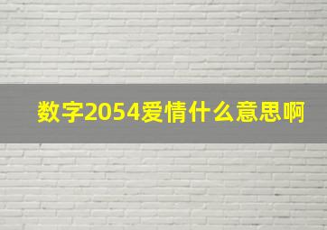 数字2054爱情什么意思啊