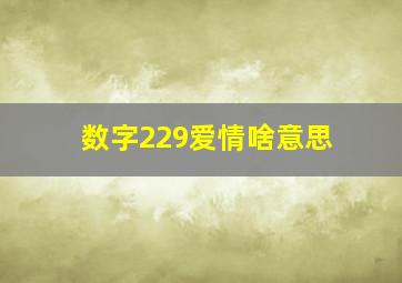 数字229爱情啥意思