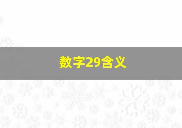 数字29含义