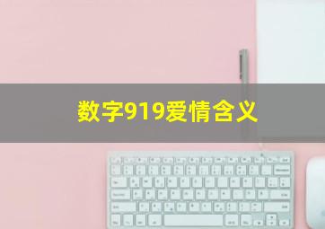 数字919爱情含义