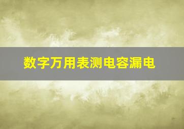 数字万用表测电容漏电