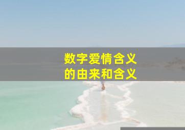 数字爱情含义的由来和含义