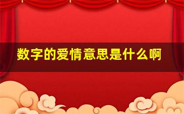 数字的爱情意思是什么啊