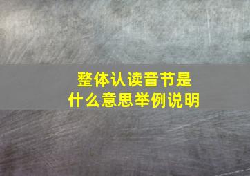 整体认读音节是什么意思举例说明