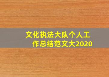 文化执法大队个人工作总结范文大2020