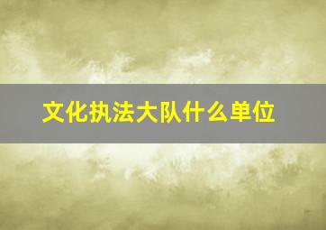 文化执法大队什么单位