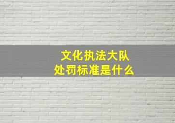 文化执法大队处罚标准是什么