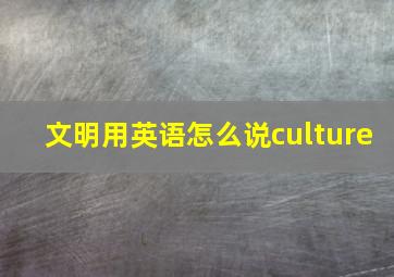 文明用英语怎么说culture