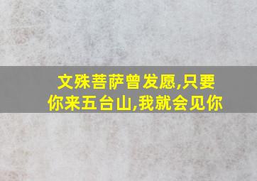 文殊菩萨曾发愿,只要你来五台山,我就会见你