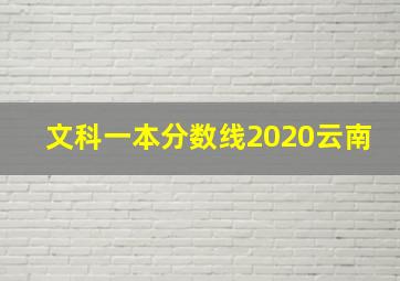 文科一本分数线2020云南