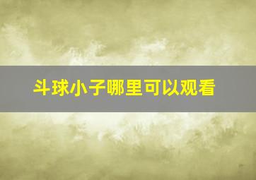 斗球小子哪里可以观看