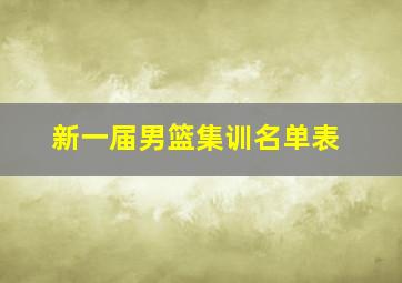 新一届男篮集训名单表