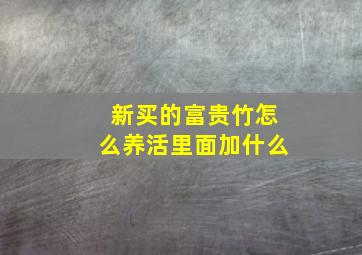 新买的富贵竹怎么养活里面加什么