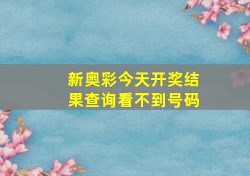 新奥彩今天开奖结果查询看不到号码