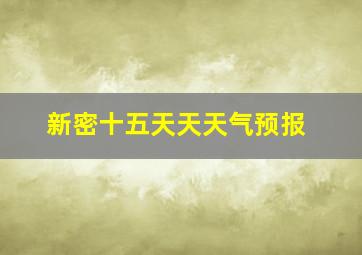 新密十五天天天气预报