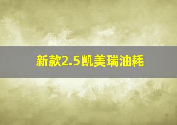 新款2.5凯美瑞油耗