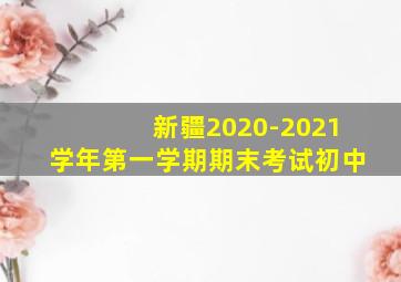 新疆2020-2021学年第一学期期末考试初中