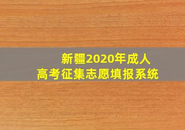 新疆2020年成人高考征集志愿填报系统