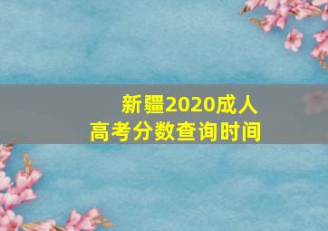 新疆2020成人高考分数查询时间