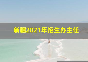 新疆2021年招生办主任