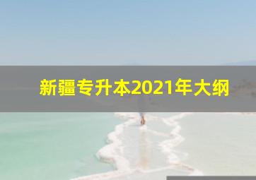 新疆专升本2021年大纲