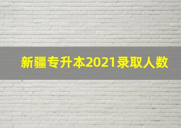 新疆专升本2021录取人数