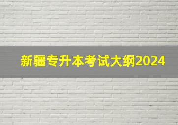 新疆专升本考试大纲2024