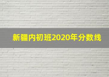 新疆内初班2020年分数线