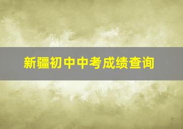 新疆初中中考成绩查询