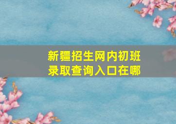 新疆招生网内初班录取查询入口在哪