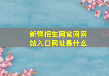 新疆招生网官网网站入口网址是什么