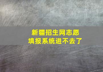 新疆招生网志愿填报系统进不去了