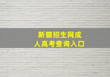 新疆招生网成人高考查询入口