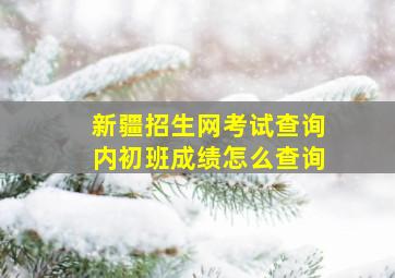 新疆招生网考试查询内初班成绩怎么查询